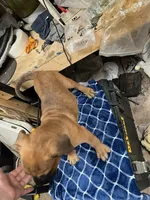 processed/ee00e669-3ce3-4d43-9df4-20be58ecfc80/facility/ca5aa196-3552-42bf-a186-b88b1a733c7e