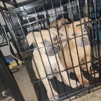 processed/ee00e669-3ce3-4d43-9df4-20be58ecfc80/facility/f1be3ed3-a67e-457f-85b1-1adb4c8d1c5e