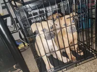 processed/ee00e669-3ce3-4d43-9df4-20be58ecfc80/facility/f1be3ed3-a67e-457f-85b1-1adb4c8d1c5e