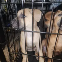 processed/ee00e669-3ce3-4d43-9df4-20be58ecfc80/facility/f261fe4b-5820-4419-95b8-a14b3f37a20c