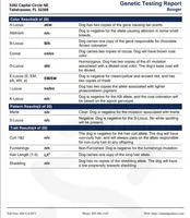 Lilac & Tan, a female French Bulldog for sale in Tulsa, OK – Photo 4 of 7