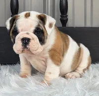 processed/ee084733-edc5-4619-8cac-16f9b55a5a11/listing/179c457e-4ad4-4f4d-8471-d762536c2719/39586aaa-3bd6-4673-b6f9-8e46424d2362