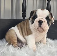 processed/ee084733-edc5-4619-8cac-16f9b55a5a11/listing/179c457e-4ad4-4f4d-8471-d762536c2719/bce631fc-ec69-4759-8d70-e3922816ac56