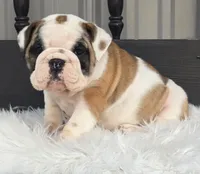 processed/ee084733-edc5-4619-8cac-16f9b55a5a11/listing/179c457e-4ad4-4f4d-8471-d762536c2719/bf6f50f6-850d-467b-a872-62d562e2096a