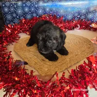 processed/ee115526-a8c5-4b8b-9e31-e3cd60997500/listing/c100cb65-d539-4170-9928-4342b5c300ea/097aaa15-d711-47c3-bb51-7668e7d74f32