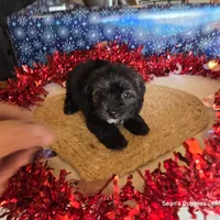 processed/ee115526-a8c5-4b8b-9e31-e3cd60997500/listing/c100cb65-d539-4170-9928-4342b5c300ea/16b9f6fb-58c2-4a41-81b9-13432411a350