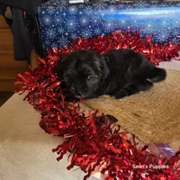 processed/ee115526-a8c5-4b8b-9e31-e3cd60997500/listing/c100cb65-d539-4170-9928-4342b5c300ea/531e599f-d12d-4908-b124-527fa9fc88f4