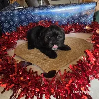 processed/ee115526-a8c5-4b8b-9e31-e3cd60997500/listing/c100cb65-d539-4170-9928-4342b5c300ea/9638e13d-2d09-41f3-a9b8-f1d8f7dc5f85