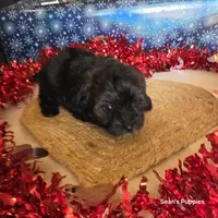 processed/ee115526-a8c5-4b8b-9e31-e3cd60997500/listing/c100cb65-d539-4170-9928-4342b5c300ea/a1455be9-385d-4c20-81cd-ae3ba94021dc