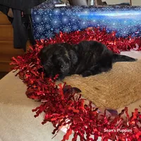 processed/ee115526-a8c5-4b8b-9e31-e3cd60997500/listing/c100cb65-d539-4170-9928-4342b5c300ea/b58b6cc0-d0dc-4184-a905-3ba968444ccc