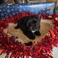 processed/ee115526-a8c5-4b8b-9e31-e3cd60997500/listing/c100cb65-d539-4170-9928-4342b5c300ea/d067ae11-03b6-42d1-9980-bb7f7d1e5538