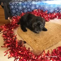 processed/ee115526-a8c5-4b8b-9e31-e3cd60997500/listing/c100cb65-d539-4170-9928-4342b5c300ea/ed428526-7d84-4d91-ba0b-ab2a436aef0d