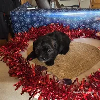 processed/ee115526-a8c5-4b8b-9e31-e3cd60997500/listing/c100cb65-d539-4170-9928-4342b5c300ea/f889b7ed-b02f-4942-ad83-0610e70f052e