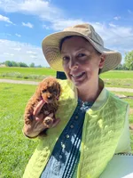 Miss Lilac, a female Cavapoo and Poodle - Miniature  for sale in Montgomery, MI – 7 of 10