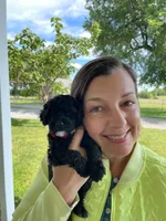 Miss Wafer, a female Miniature Goldendoodle for sale in Montgomery, MI – 3 of 7