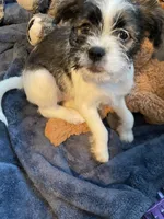 processed/ee1d9a99-1c3e-4e49-b35a-de93e61da5a4/listing/433f56f9-9db0-4e9f-9a4f-02d710412ef8/b124ac3c-7ab8-4c2a-bfb3-d20393dbe1bd