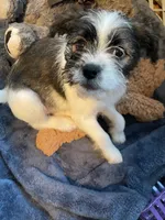 processed/ee1d9a99-1c3e-4e49-b35a-de93e61da5a4/listing/433f56f9-9db0-4e9f-9a4f-02d710412ef8/bb13b0d6-1894-4eee-b932-753afabce255