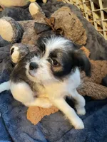 processed/ee1d9a99-1c3e-4e49-b35a-de93e61da5a4/listing/433f56f9-9db0-4e9f-9a4f-02d710412ef8/e3176fd7-9711-4520-98ec-4a3039a03b50