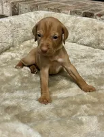 processed/ee26a2c5-f606-4050-9ebb-bacbdff41127/listing/257af5a3-7415-4ac4-b003-97dab2c133b7/8bc660fc-b00d-4bd5-ba89-9a1aea52a9c7