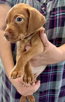 processed/ee26a2c5-f606-4050-9ebb-bacbdff41127/listing/7e410486-9697-42db-ac67-1ac69105757c/3da9b11d-b31d-47cf-86a1-d092cac60da1