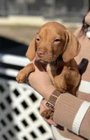 processed/ee26a2c5-f606-4050-9ebb-bacbdff41127/listing/7e410486-9697-42db-ac67-1ac69105757c/5dec1213-d933-48c4-b749-63174edda70d