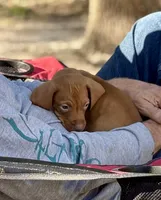 processed/ee26a2c5-f606-4050-9ebb-bacbdff41127/listing/7e410486-9697-42db-ac67-1ac69105757c/a9ba8122-a945-41f9-affb-db6c80574388