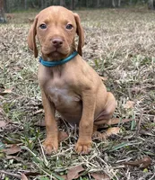 processed/ee26a2c5-f606-4050-9ebb-bacbdff41127/listing/9b2e613c-a4cd-4be6-9ee5-e598edce6ba0/23dd0c33-859c-441b-bcd5-11a4ea20b5b9