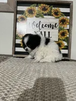 processed/ee2bb783-b2ce-4337-92f6-fe1f0d60b2df/listing/99a94188-b1a2-45e7-98e4-6486d2b1c502/2d2ed5b7-dc56-47db-b896-234c0bf3eef8