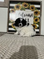 processed/ee2bb783-b2ce-4337-92f6-fe1f0d60b2df/listing/99a94188-b1a2-45e7-98e4-6486d2b1c502/facad472-9fef-478a-8800-d4ff6ff7da0f