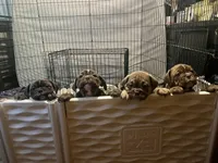 Facility photo