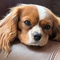 processed/ee405ffb-90b6-4b0d-9eae-554599a2ccca/facility/4c4756fc-2c90-4592-a57f-817c08792d36