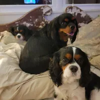 processed/ee405ffb-90b6-4b0d-9eae-554599a2ccca/facility/9d3a4190-a4d5-4101-9421-9ded304cf06f