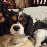 processed/ee405ffb-90b6-4b0d-9eae-554599a2ccca/facility/c7a95373-0b59-4bf3-8575-87936061b386