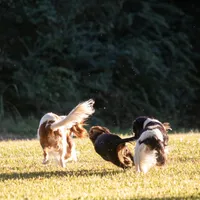 processed/ee405ffb-90b6-4b0d-9eae-554599a2ccca/facility/c8230c2b-f902-4d2d-a9a5-5f27c59cf9fe