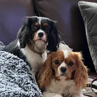 processed/ee405ffb-90b6-4b0d-9eae-554599a2ccca/facility/e9b03d49-a14a-437d-900c-ced5d95ec085