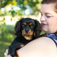 processed/ee405ffb-90b6-4b0d-9eae-554599a2ccca/facility/fc2d2994-be10-4570-980c-98e23fbff6d5