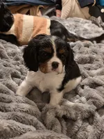 processed/ee405ffb-90b6-4b0d-9eae-554599a2ccca/listing/8f2e15d0-2d0d-46d8-902e-34fe5506ba22/150bfc87-39b2-4805-9c50-b098e65bd420