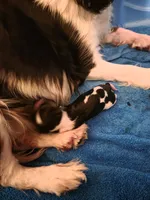 processed/ee405ffb-90b6-4b0d-9eae-554599a2ccca/listing/8f2e15d0-2d0d-46d8-902e-34fe5506ba22/84073387-5836-4348-86b1-b45796ee5e17