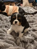 processed/ee405ffb-90b6-4b0d-9eae-554599a2ccca/listing/8f2e15d0-2d0d-46d8-902e-34fe5506ba22/a1039764-5fea-4b7e-bcb4-4297a155f8ce