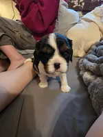 processed/ee405ffb-90b6-4b0d-9eae-554599a2ccca/listing/8f2e15d0-2d0d-46d8-902e-34fe5506ba22/b67523fa-5d3f-4066-9d5f-baaf727941aa