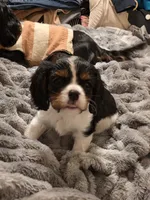 processed/ee405ffb-90b6-4b0d-9eae-554599a2ccca/listing/8f2e15d0-2d0d-46d8-902e-34fe5506ba22/ced9f3ac-81f1-46a4-8be8-d4edd47ee948