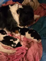 processed/ee405ffb-90b6-4b0d-9eae-554599a2ccca/listing/8f2e15d0-2d0d-46d8-902e-34fe5506ba22/f4f337d7-cd79-469f-9a6f-f1ec088111ab