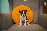 processed/ee42be00-1372-477b-b3c9-d4ccd5530a9c/listing/89a456fa-e68a-47f4-9959-f01fe5ce7bd8/507daf48-c7f5-4f2d-b0d6-3307fe25660a