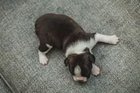 processed/ee42be00-1372-477b-b3c9-d4ccd5530a9c/listing/89a456fa-e68a-47f4-9959-f01fe5ce7bd8/60f93c2a-0ac9-4397-a043-7b53740fb462