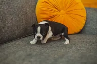 processed/ee42be00-1372-477b-b3c9-d4ccd5530a9c/listing/89a456fa-e68a-47f4-9959-f01fe5ce7bd8/700dd876-db9f-46a1-8b8f-1a7d70e03602