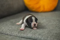 processed/ee42be00-1372-477b-b3c9-d4ccd5530a9c/listing/89a456fa-e68a-47f4-9959-f01fe5ce7bd8/7225dc5b-decb-457c-8c88-e6fb3a514756