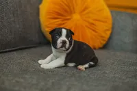 processed/ee42be00-1372-477b-b3c9-d4ccd5530a9c/listing/89a456fa-e68a-47f4-9959-f01fe5ce7bd8/b42c14aa-03ed-4d7a-97a7-25b1393eeafe