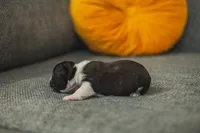 processed/ee42be00-1372-477b-b3c9-d4ccd5530a9c/listing/89a456fa-e68a-47f4-9959-f01fe5ce7bd8/ebb9b7e9-d615-4bc2-8976-9a4a81a795db