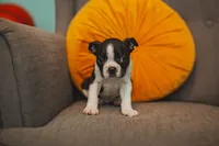 processed/ee42be00-1372-477b-b3c9-d4ccd5530a9c/listing/89a456fa-e68a-47f4-9959-f01fe5ce7bd8/f7baec8a-9dfa-40c3-a598-dc6ac2243fc6