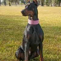 processed/ee5d3821-483e-4483-9005-d60d3a2467b4/facility/2d8cd1c6-0677-47b8-bb77-09b602b53487